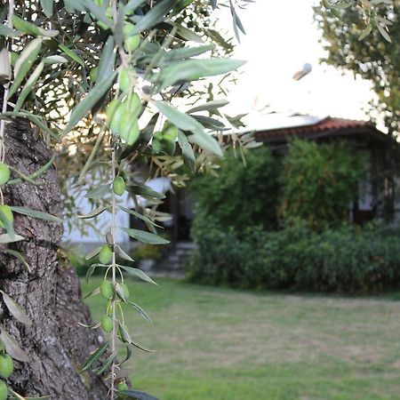 Skala Rachoni Patroudis Houseアパートメント エクステリア 写真