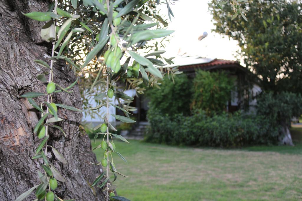 Skala Rachoni Patroudis Houseアパートメント エクステリア 写真