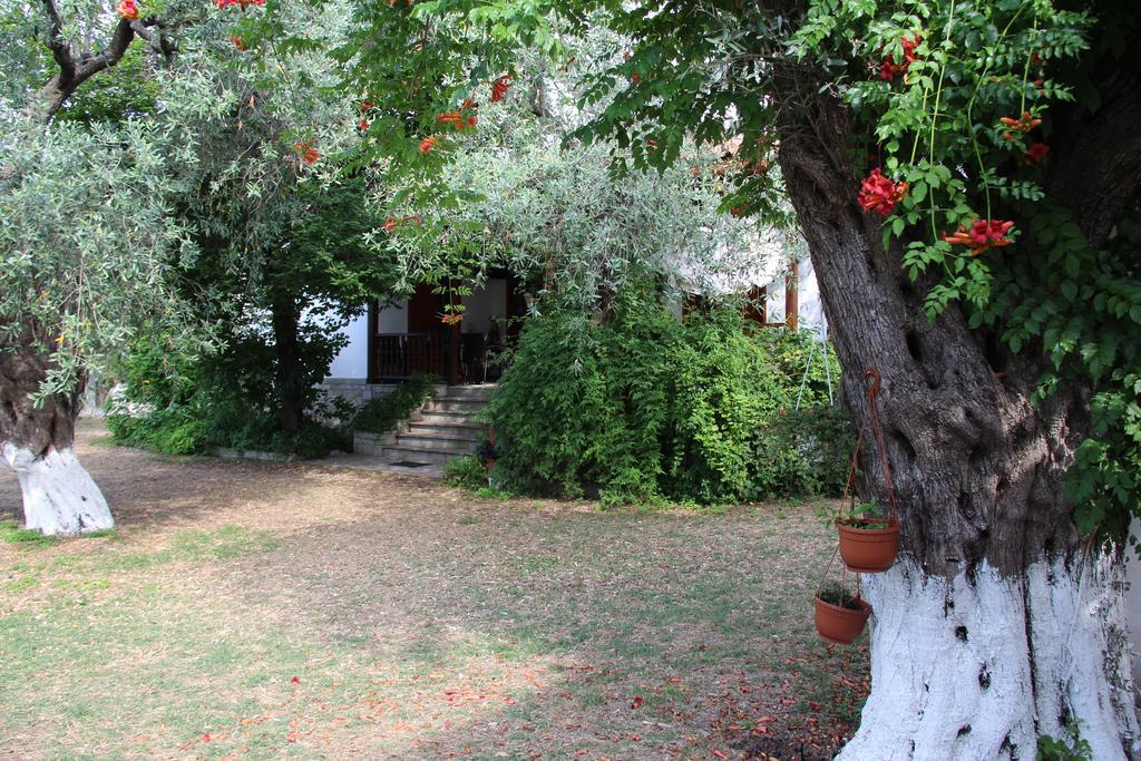 Skala Rachoni Patroudis Houseアパートメント 部屋 写真