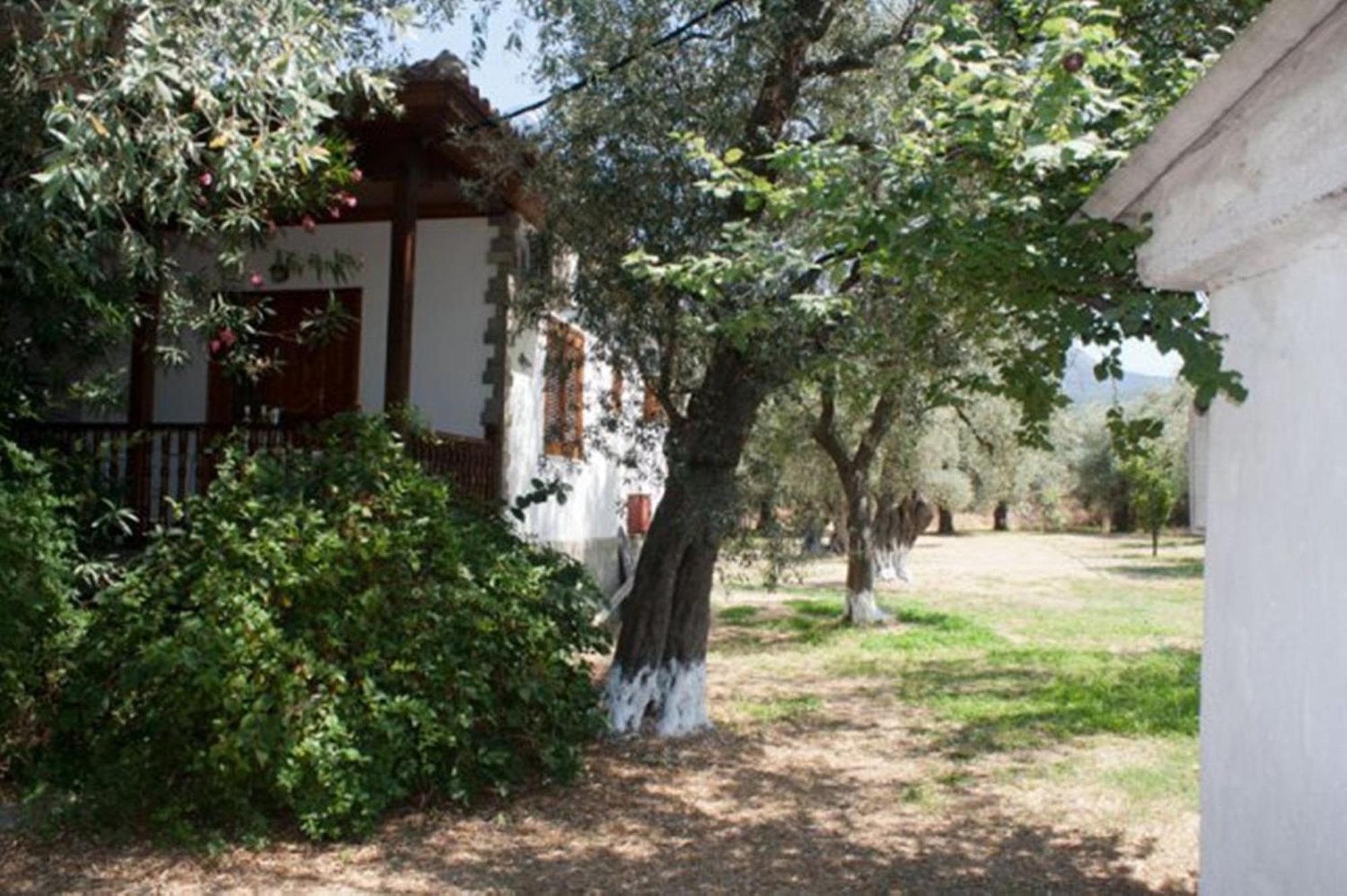 Skala Rachoni Patroudis Houseアパートメント エクステリア 写真